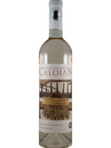 Caloian Cabernet Sauvignon Alb 2014 | Crama Oprisor | Plaiurile Drancei